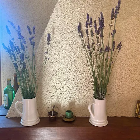 La Casa Nel Cammino Degli Dei Holiday home Casa Sabbatino