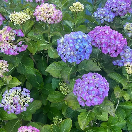 La Casa Nel Cammino Degli Dei Holiday home Casa Sabbatino