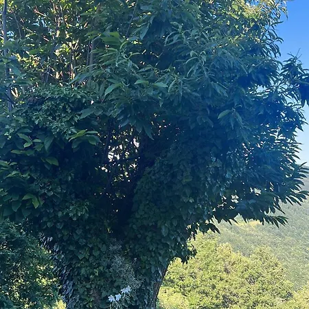 Holiday home La Casa Nel Cammino Degli Dei Casa Sabbatino