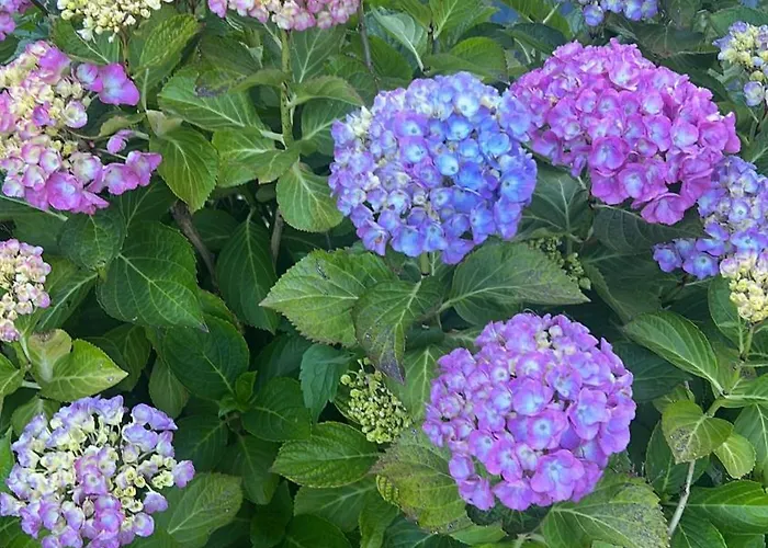 La Casa Nel Cammino Degli Dei Holiday home Casa Sabbatino
