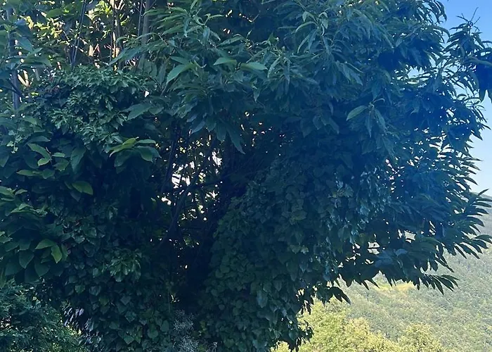 Holiday home La Casa Nel Cammino Degli Dei Casa Sabbatino